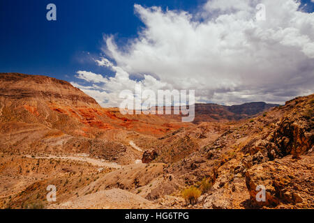"Joshua Tree Road" Mojave-Wüste (Scenic Backway) Stockfoto