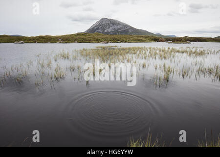 Blick von Mount Errigal Hülse Snaght Loch. Glenveagh Nationalpark, County Donegal, Irland. Stockfoto