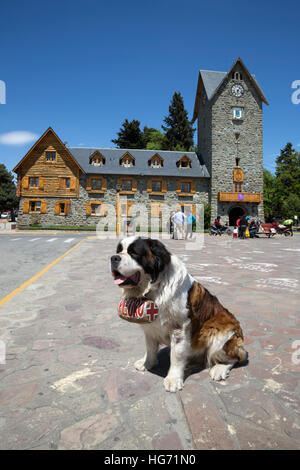 Pedro der Bernhardiner Hund außerhalb des Centro Civico, Bariloche, Nahuel Huapi Nationalpark, den Lake District, Argentinien Stockfoto