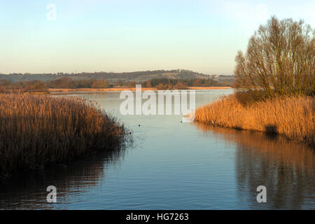 Blick über Chew Valley Lake, Chew Magna, BS40, North Somerset, England, UK mit Schilf am Ufer an einem frostigen Morgen, 2017 Stockfoto