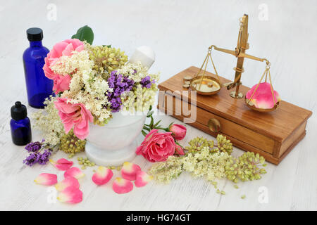 Holunderblüten, Rose und Lavendel Kräuter Blumen mit Angelica Samenköpfe in natürlichen Alternativmedizin verwendet. Stockfoto