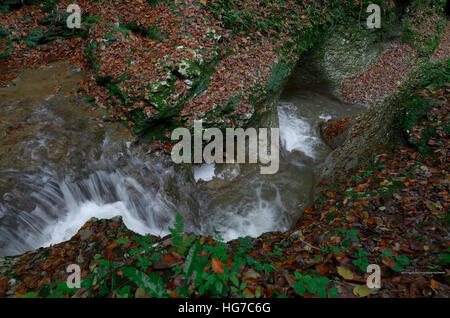 Kleiner Wasserfall auf einem Gebirgsbach im Herbst, sauberes Wasser. Eine ungewöhnliche Ansicht von oben den Bach. Kaukasus, Russland Stockfoto