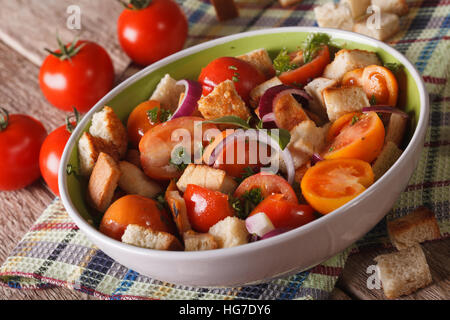 Italienischer Brotsalat - Panzanella Nahaufnahme auf dem Tisch. horizontale, rustikalen Stil Stockfoto