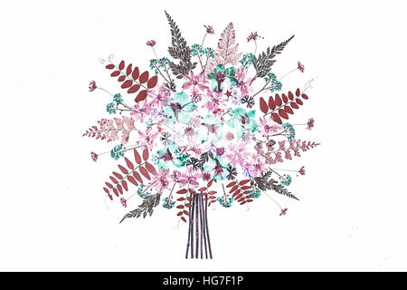 Ein High-Key-Bild von zarten getrocknet gepresste Blumen auf weißem Grund Stockfoto