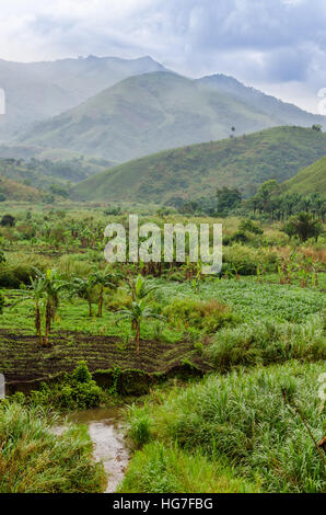 Fluss, Plantagen, Bergen und üppigen tropischen Vegetation am Ring Road, Kamerun, Afrika Stockfoto