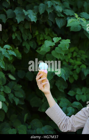 Frau Hand mit Eis Gream in der Natur Stockfoto