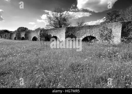 Sommer-Blick auf einen Teil der 26 gewölbte steinerne Brücke über Fluss Great Ouse in Bromham Dorf, Bedfordshire, England, UK Stockfoto