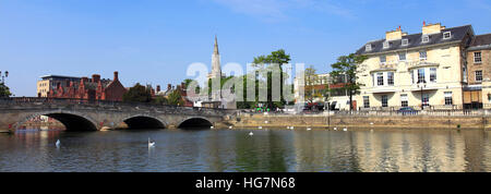 Sommer-Ansicht der Schwäne auf dem Fluss Great Ouse, Stadt Bedford, Bedfordshire, England, UK Stockfoto