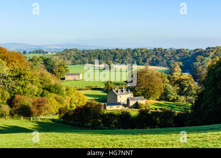 Hodder Tal in der Nähe von Lower Hodder Brücke in der Ribble Valley Distrikt von Lancashire Stockfoto