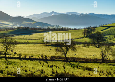 Fernblick über Bassenthwaite Lake und Grisedale Pike aus Orthwaite in den Fjälls des Lake District Stockfoto