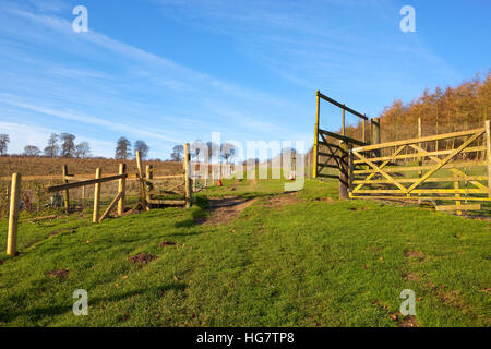 Grasbewachsenen Weg durch hölzerne Tore und Zäune in einem Spiel Vogelschießen Landschaft im Winter. Stockfoto