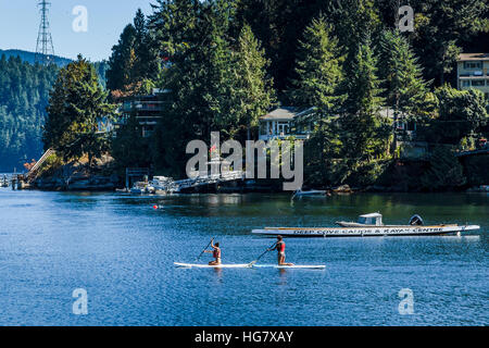 Paddling auf den ruhigen Gewässern des Deep Cove, Vancouver, im Sommer, Britisch-Kolumbien, Kanada Stockfoto