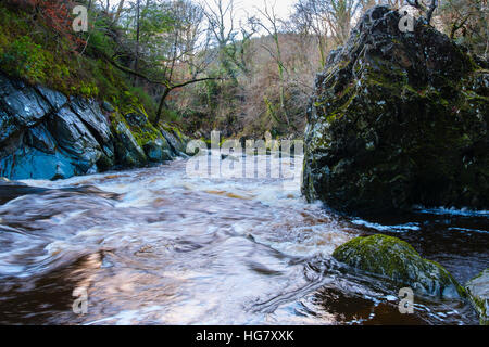 Suche flussabwärts entlang Afon Conwy Fluss fließt durch Fairy Glen-Schlucht in Snowdonia-Nationalpark Betys-y-Coed Conwy Wales UK Stockfoto