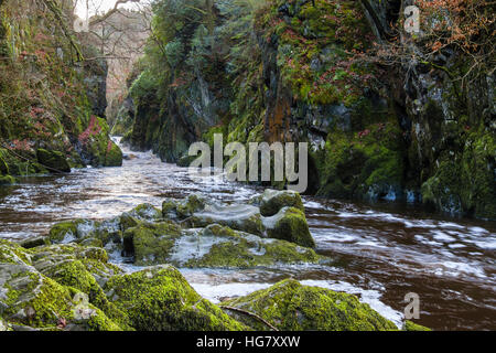 Vordere Suchen entlang Afon Conwy Fluss fließt durch die engen Fairy Glen Schlucht in Snowdonia National Park Betys-y-Coed Wales UK Stockfoto