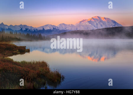 Morgenlicht berührt Denali (ehemals Mt. McKinley) während der Morgen Nebel aus Wonder Lake steigt. Denali Nationalpark, Alaska. Stockfoto