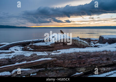 Schnee bedeckt Treibholz am Ufer des Puget Sound im US-Bundesstaat Washington. Stockfoto