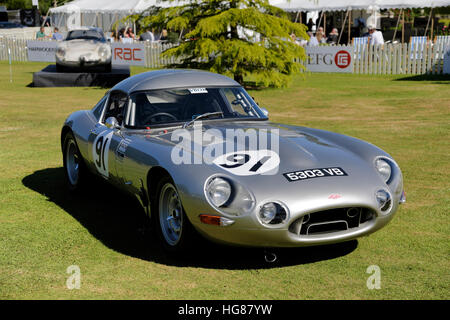 Ein Jaguar E-Type Rennwagen auf die Wilton Classic & Supercar Show 2015, Wilton House, Wiltshire, Vereinigtes Königreich. Stockfoto