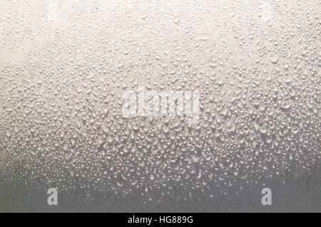 Eine abstrakte Nahaufnahme eines perfekten, großen weißen runden Globus von einer Riesen Pufball, glitzernde mit Tau am Morgen. Stockfoto