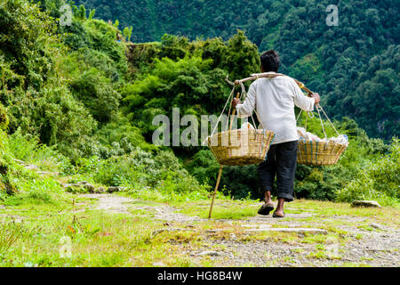 Mann trägt waren entlang einer Strecke Chomrong, Distrikt Kaski, Nepal Stockfoto