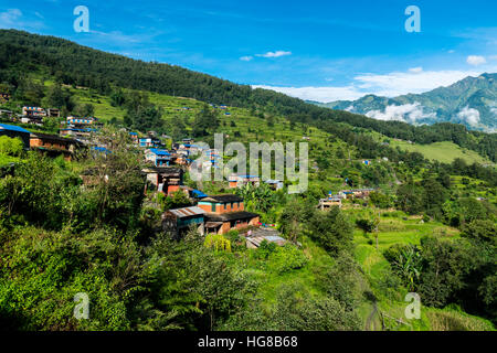 Häuser in der Agrarlandschaft mit grünen Terrasse Reis Felder, Chitre, obere Kali Gandaki Tal, Myagdi Bezirk, Nepal Stockfoto