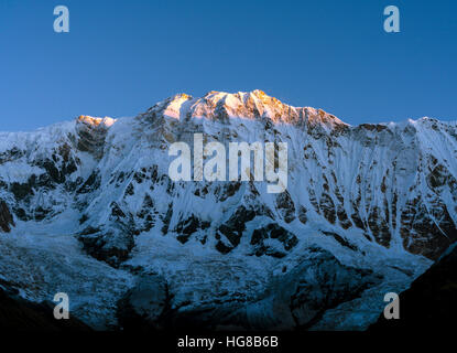 Blick auf den Schnee bedeckt Annapurna 1 North Face bei Sonnenaufgang, Chomrong, Distrikt Kaski, Nepal Stockfoto