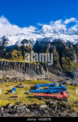 Häuser der Annapurna Base Camp, Gletscher und Schnee bedeckt, Annapurna 1 North Face, Chomrong, Distrikt Kaski, Nepal Stockfoto