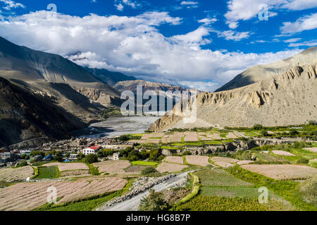 Luftaufnahme, Agrarlandschaft des Kali Gandaki Tal mit Gerste Felder und Häuser im Ortsteil, Kagbeni, Mustang Stockfoto