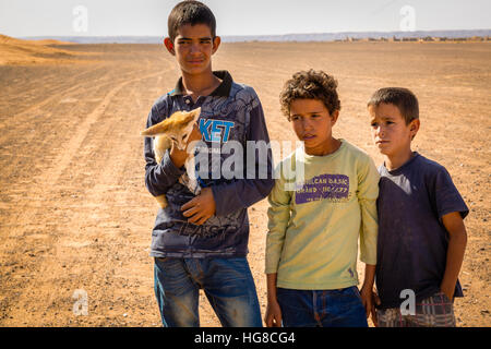 Berber Jungen mit Fennec (Desert Fox) auf der Wüste Sahara in der Nähe von Merouga, Marokko Stockfoto