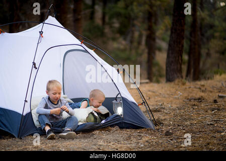 Brüder im Zelt am Feld entspannend Stockfoto