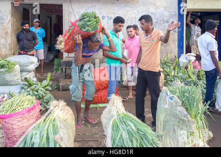 Debitoren und Kreditoren auf Manning zu vermarkten, Pettah-Viertel, Colombo, Sri Lanka Stockfoto