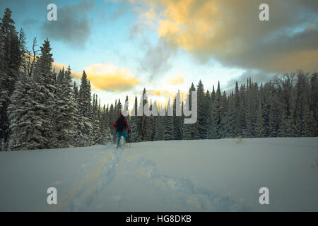 Rückansicht des Wanderer Skifahren auf Schnee bedeckt Feld gegen Himmel Stockfoto