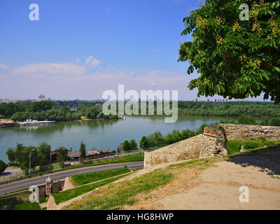 Zusammenfluss von Save und Donau in Belgrad, Serbien. Stockfoto