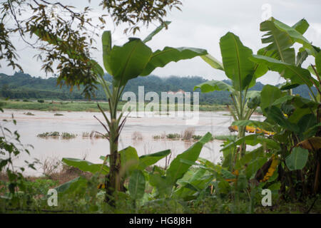 die Landschaft des Mekong-Flusses auf der Straße Fron der Stadt Nong Khai der Stadt Chiang Khan im Isan in Nord-Ost-Thailand Stockfoto