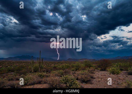 Sommergewitter mit Blitzeinschlag über der Wüste von Arizona Stockfoto