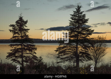 Himmel ist gelb mit dunklen grauen Wolken, und die Bäume sind fast schwarzen Silhouetten. Nördlichen Ontario-See Stockfoto