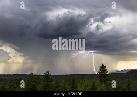 Starkes Gewitter mit starkem Regen und Blitz in der Nähe von Pine, Arizona Stockfoto