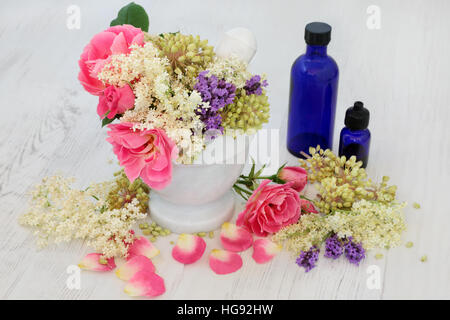 Auswahl der medizinischen Blume Rose, Holunder, Lavendel Kräuter- und Angelika Samen Köpfe in natürliche alternative Kräutermedizin verwendet Stockfoto