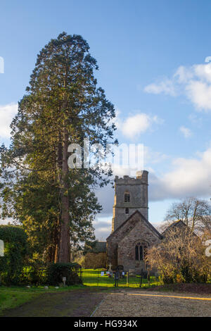 St Bride Kirche, Wentloog Stockfoto