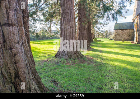 St Bride Kirche, Wentloog Stockfoto