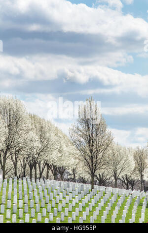 Grabsteine Jefferson Barracks National Cemetery in St. Louis, Mo. Stockfoto