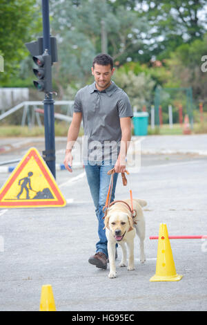 Mann zu Fuß Hund Stockfoto