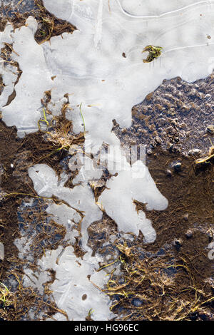 Eis, gefrorene Pfütze auf dem Kies Land Straße Oberfläche Winter Hintergrund Stockfoto