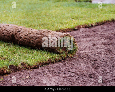 Teppich - Roll von Sod - Rasen Rasen Rasen Roll Stockfoto