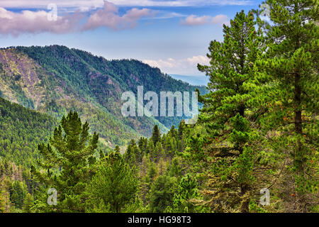 Nadelwald Sibiriens in Ausläufern. Östliche Sajan-Gebirge. Russland Stockfoto