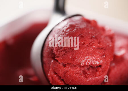 Nahaufnahme Foto Himbeersorbet Kugel mit Kugel Stockfoto