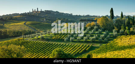 Weinberge, Olivenhaine und toskanische Landschaft unterhalb der mittelalterlichen Stadt San Gimignano, Toskana, Italien Stockfoto