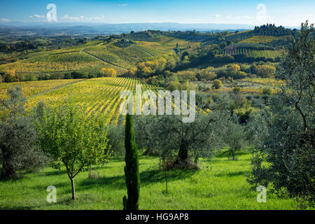 Herbstliche Ansicht der toskanischen Landschaft in der Nähe von San Gimignano, Toskana, Italien Stockfoto