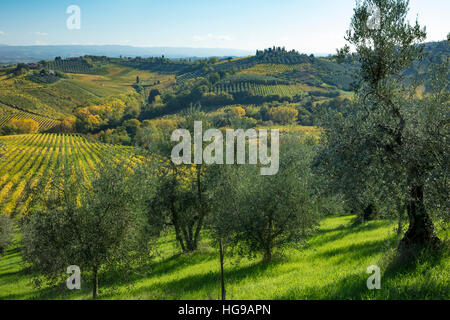 Herbstliche Ansicht der toskanischen Landschaft in der Nähe von San Gimignano, Toskana, Italien Stockfoto