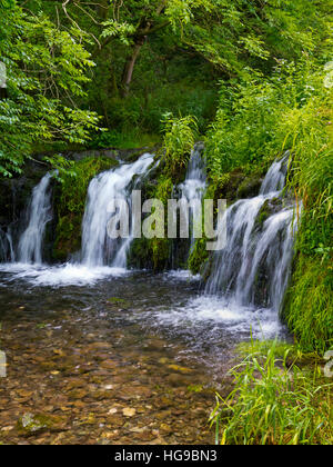 Wasserfall auf dem Fluß Lathkill im Peak District National Park Derbyshire England UK Stockfoto