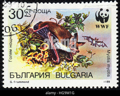 Eine Briefmarke gedruckt in Bulgarien zeigt größere Maus-eared Fledermaus (Myotis Myotis), Fledermäuse, Serie, 1989 Stockfoto
